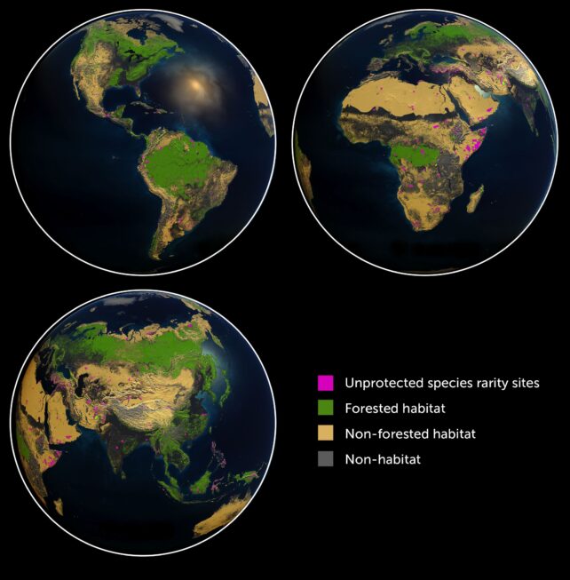 Three images of Earth